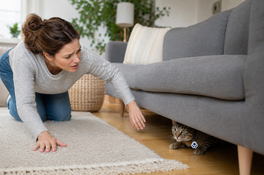 worried cat owner searching house for indoor cat hiding under furniture