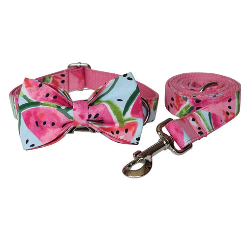 reflective pet collar and leash set for walking