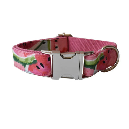 durable nylon pet collar with safety buckle 