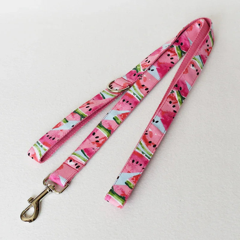 soft neoprene padded collar for sensitive dog skin