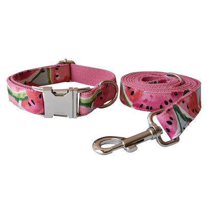 sturdy metal clip on pet leash for secure walking